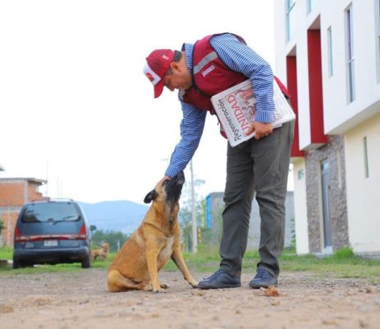 Barragán logra reforma histórica desde ahora la Constitución de Michoacán protege a los animales