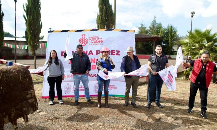 WhatsApp Image 2026-01-29 at 8.11.03 PM