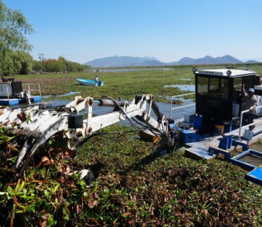 Michoacán rehabilitará 60 hectáreas del lago de Cuitzeo