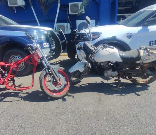 En los últimos días, SSP recuperó 16 vehículos y 2 contenedores con reporte de robo