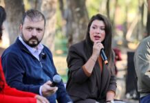 Bodas masivas, pícnic, arte y cultura; así será el megafestejo del amor en Michoacán