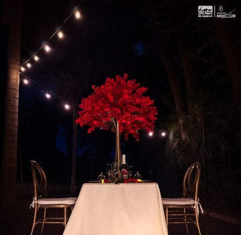 Entre naturaleza y romance, el Zoológico de Morelia te invita a una cena inolvidable