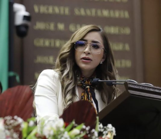 Con trabajo legislativo se han impulsado reformas que van desde la igualdad sustantiva hasta la protección a las infancias: Grecia Aguilar