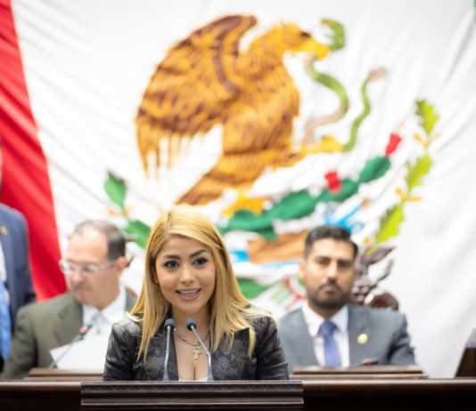 Presenta Diputada Sandra Garibay iniciativa para crear el “Programa Atención Autismo” en Michoacán