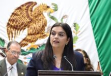 Teresita Herrera presenta iniciativa de reforma para reconocer la lactancia prolongada como una política de salud pública