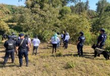 Guardia Civil mantiene operativos de búsqueda forense en Michoacán