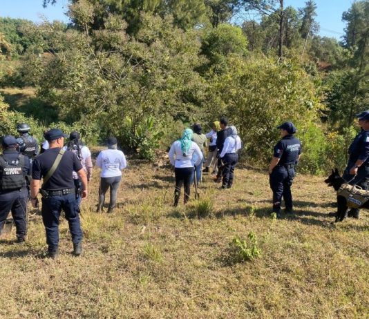 Guardia Civil mantiene operativos de búsqueda forense en Michoacán
