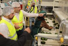 Celebra Bedolla reforma que reduce a 40 horas la jornada laboral; paso decisivo a la justicia social en Michoacán