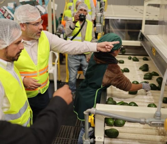 Celebra Bedolla reforma que reduce a 40 horas la jornada laboral; paso decisivo a la justicia social en Michoacán