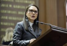 Llama Nalleli Pedraza a no olvidar Ley para la Atención Integral de las Personas con Síndrome de Down