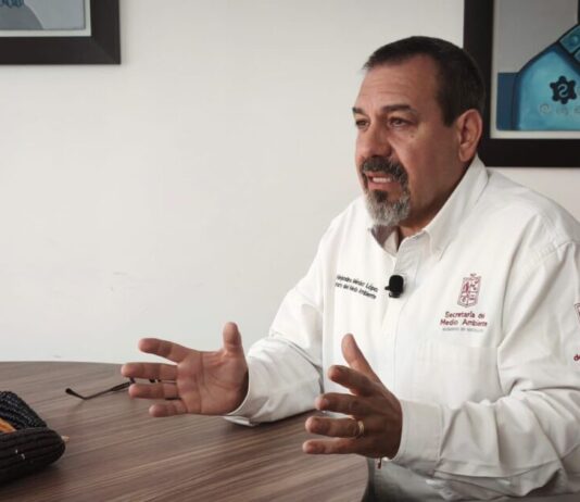 Guardián Forestal, escudo de la Mariposa Monarca en Michoacán: Secma