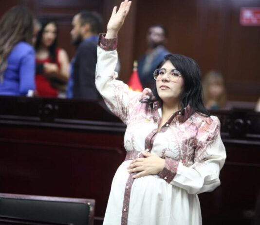 Vanhe Caratachea presenta iniciativa para proteger de violencia de género a madres jefas de familia
