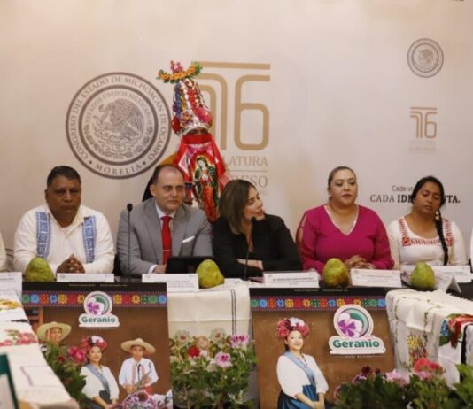 Desde el Congreso del Estado estamos abiertos a impulsar aquellas actividades que beneficien a la cultura y al turismo: Baltazar Gaona