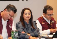 Michoacán será sede del Encuentro Nacional de la Coalición Movilidad Segura: Gladyz Butanda
