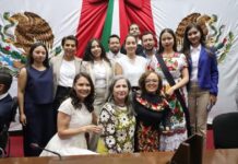 Desde garantías en movilidad hasta enseñanza gratuita de LSM: propuestas del Parlamento con Perspectiva de Discapacidad