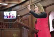 Diputada Brissa Arroyo propone robustecer jurídicamente medidas cautelares