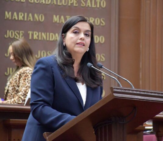 Impulsa diputada Tere Herrera reforma para prevenir muertes neonatales en Michoacán