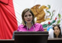 Propone Diputada Brissa Arroyo homologar en Michoacán Ley Mariana Lima