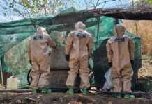 Agentes federales y estatales inhabilitan laboratorio para elaboración de drogas en Peribán