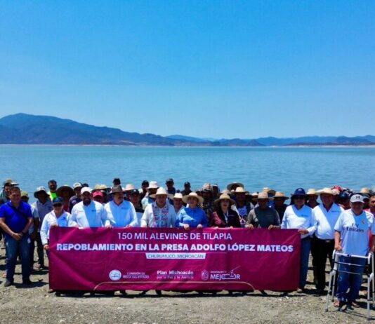 Siembra Compesca 150 mil tilapias para impulsar la economía en Churumuco