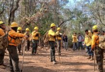 Controlado al 100 % incendio en Nuevo Urecho