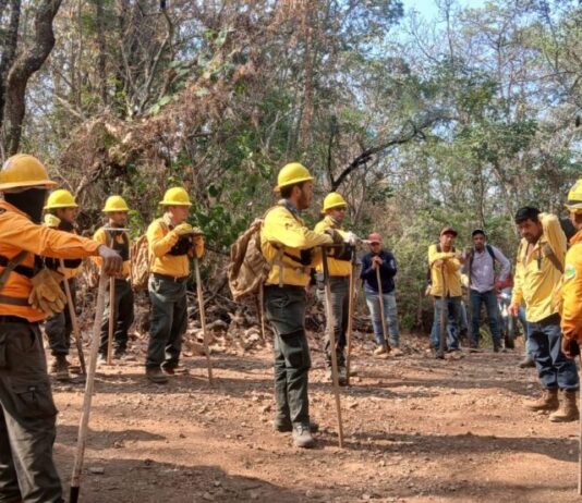 Controlado al 100 % incendio en Nuevo Urecho