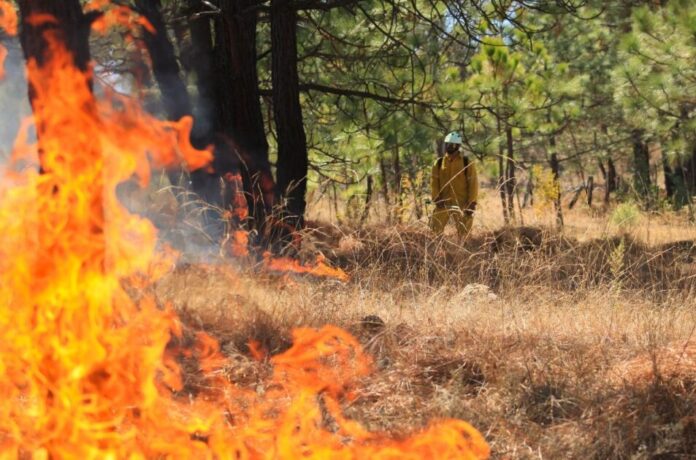 9f884d2c-2fd6-4efb-947d-f54a5ca62bf9