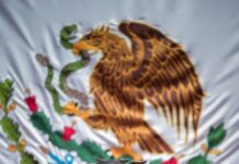 Celebra Conrado Paz aprobación de reformas que planteó para eliminar barreras educativas para grupos vulnerables