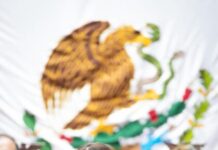 Giulianna Bugarini propone reforma que frene decisiones ambientales irresponsables