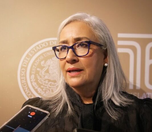 Impulsa Emma Rivera reforma para hacer obligatorias rampas de frenado en carreteras así como revisión a transporte de carga
