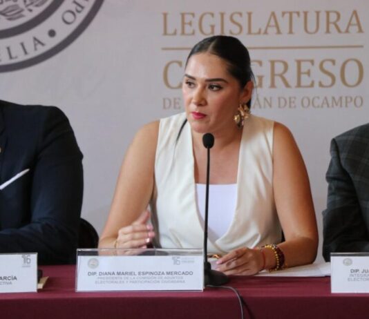 Reforma electoral debe hacerse en consenso y diálogo democrático: Diana Espinoza