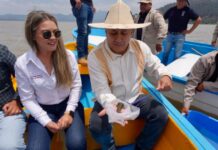 Gobierno de Michoacán siembra mil ejemplares de achoque en el lago de Pátzcuaro