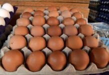 ¿Dónde comprar más barato? La estrategia que protege la economía de tu familia