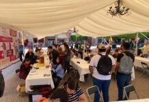 Impulso al empleo y a emprendedores: claves que fortalecen la economía estatal