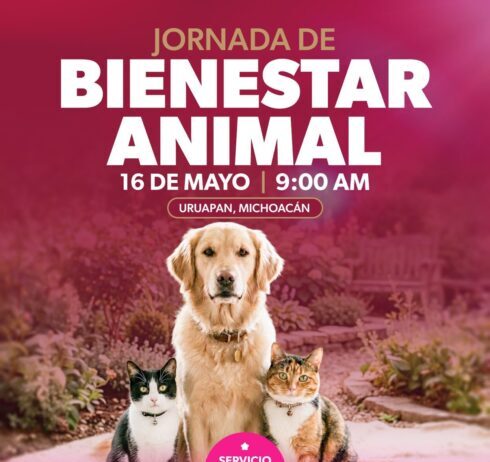 Gladyz Butanda invita a Jornada de Bienestar Animal en el teleférico de Uruapan