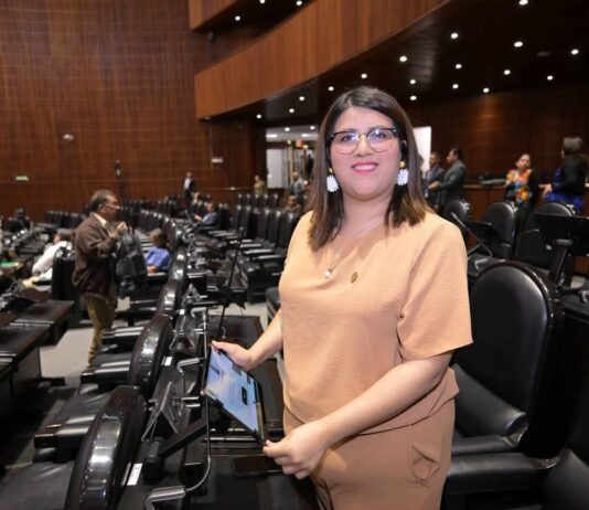 Diputada Miroslava Shember presenta iniciativa que elimina trabas burocráticas para apoyos a personas con Autismo.