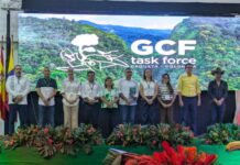 Michoacán se une a la élite mundial contra la deforestación
