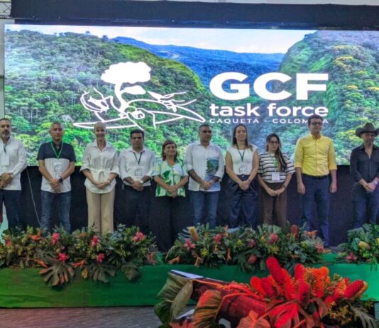 Michoacán se une a la élite mundial contra la deforestación