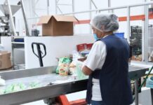Más de 505 mil empleos formales en Michoacán se traducen en seguridad social y bienestar