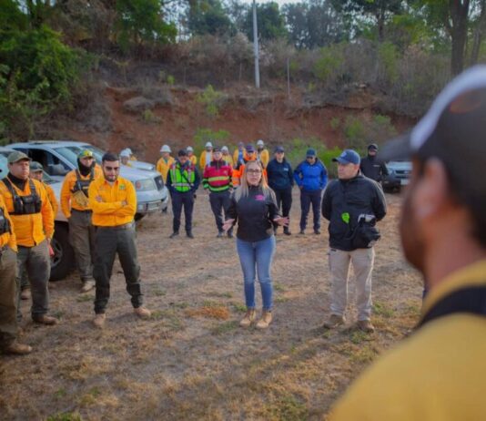 Dayana Pérez reporta control del incendio forestal y refuerza acciones de prevención en Salvador Escalante