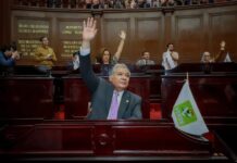 Propone Magaña de la Mora prohibición expresa contra el envenenamiento de animales por parte de autoridades