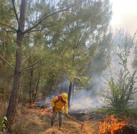 Incendio forestal en el Cerro del Estribo controlado en un 80 %