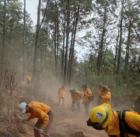 Continúan labores coordinadas para la atención del incendio forestal en la comunidad de Copándaro