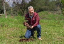 Michoacán logra récord histórico: alcanza 235 mil hectáreas de Áreas Naturales Protegidas