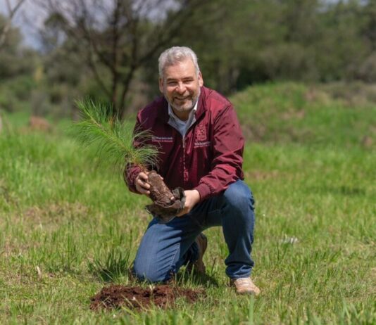 Michoacán logra récord histórico: alcanza 235 mil hectáreas de Áreas Naturales Protegidas