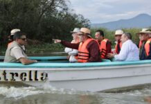Siembra de 40 mil peces en el lago de Pátzcuaro, prioridad para su rescate: Bedolla