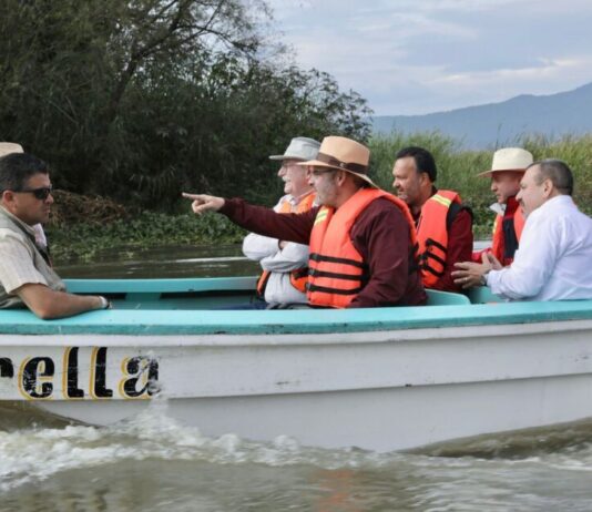 Siembra de 40 mil peces en el lago de Pátzcuaro, prioridad para su rescate: Bedolla