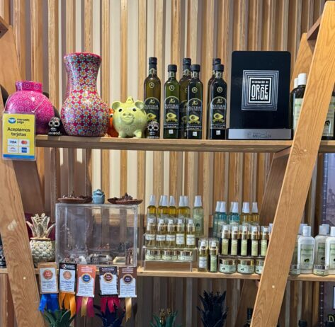 Michoacán lleva su riqueza productiva y artesanal a Punto México