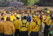 Dayana Pérez mantiene seguimiento y coordinación permanente ante incendio forestal en Copándaro