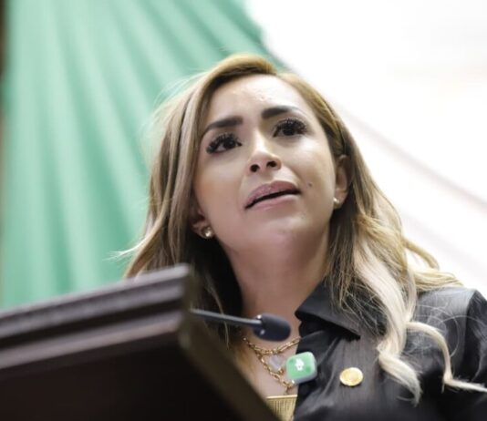 Impulsa Grecia Aguilar reforma para incorporar la sombra urbana como herramienta frente al cambio climático